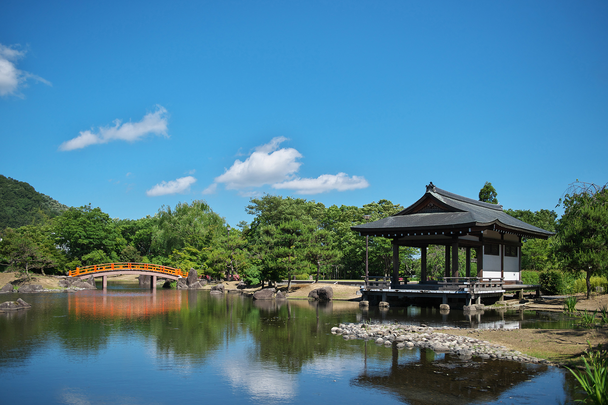 紫式部公園】越前を旅する｜越前市観光協会公式サイト