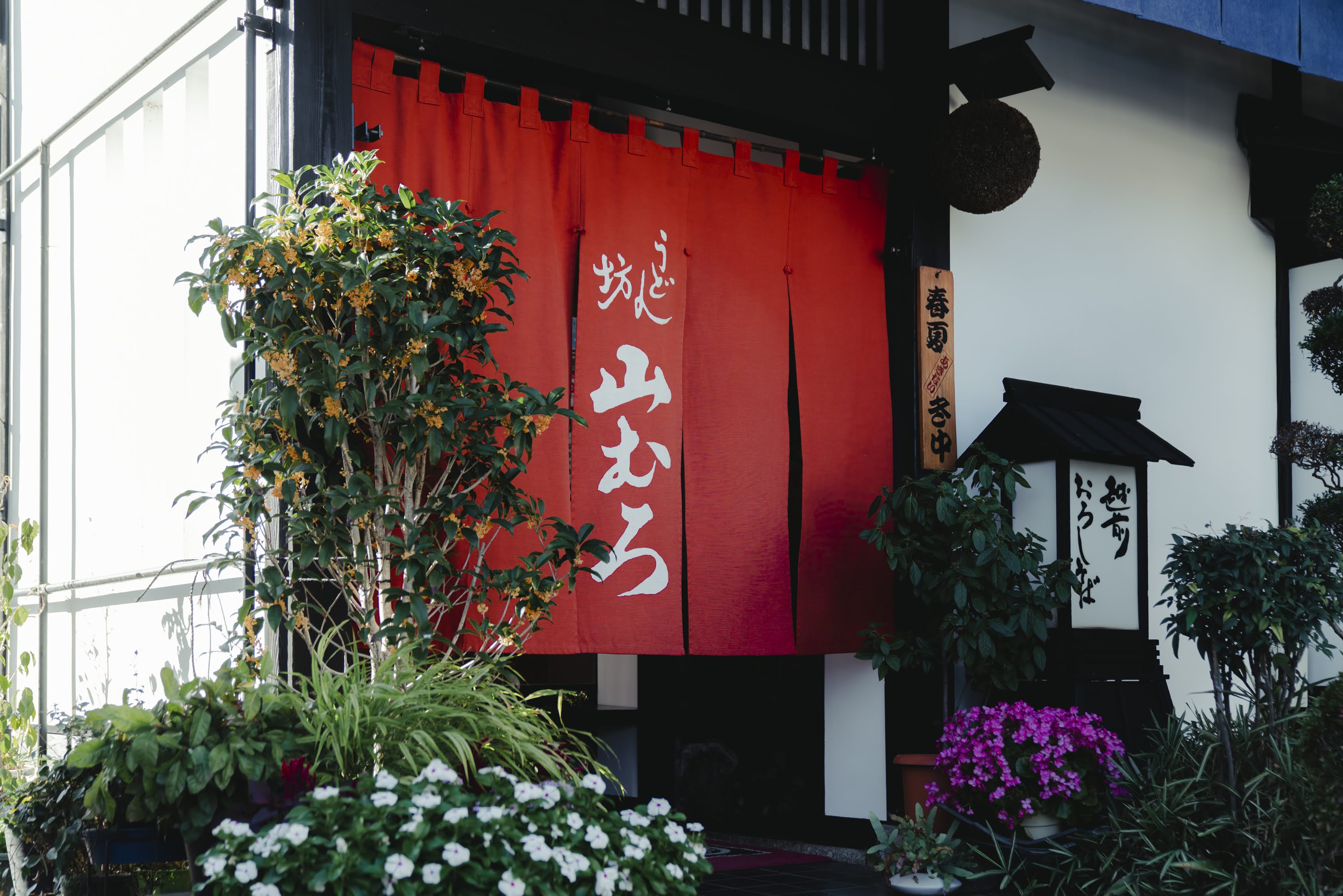 越前そば うどん坊 山むろ】越前を旅する｜越前市観光協会公式サイト